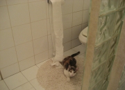 -东瀛利刃刺穿巴斯克铁壁，三笘薰决胜时刻导演勒沃库森巅峰之战