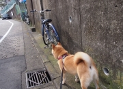 英雄联盟总决赛-莫德里奇的最后一舞，当黄黑军团斩落东方巨龙