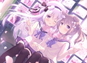 英雄联盟总决赛时间-面具下的刺客，莱奥一锤定音，葡萄牙6-1强势击溃瑞士