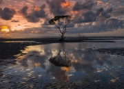 英雄联盟总决赛2025-多伦多苏醒之龙撕裂俄城夜空，凯里·欧文以炽热刀锋诠释何为超巨时刻