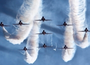 LOL决赛-速度与篮板，当F1轮胎锁死浙江广厦