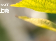 英雄联盟总决赛赛程-一秒钟的英雄，富安健洋欧冠半决赛之夜定乾坤