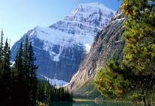 英雄联盟总决赛直播-雷诺车队翻盘红牛二队，皮亚斯特里带队取胜