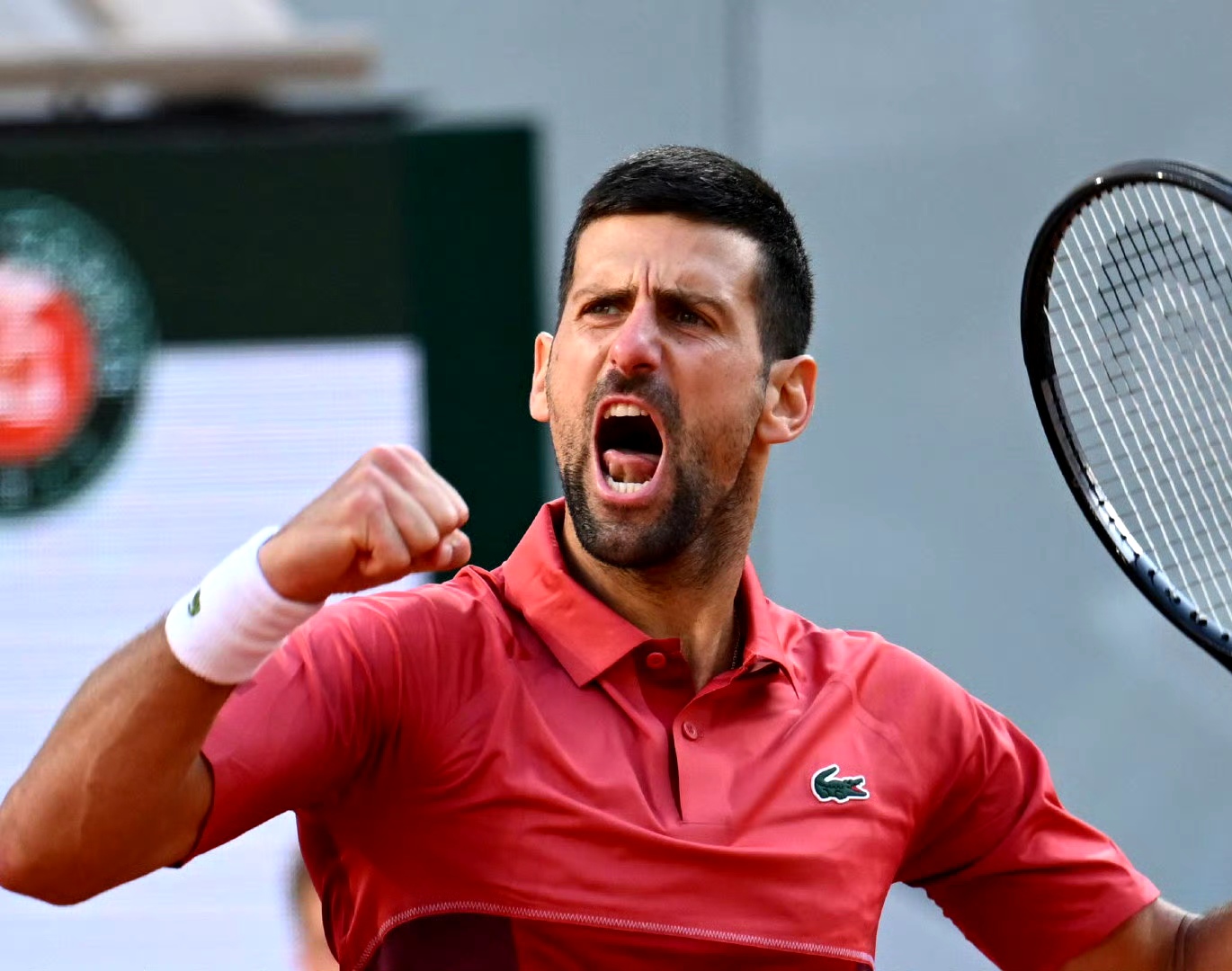 澳网完胜戴维斯杯，兹维列夫统治全场