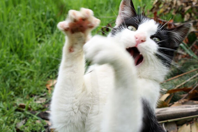 唯一性！当颤抖的篮筐遇见沉默的熔炉