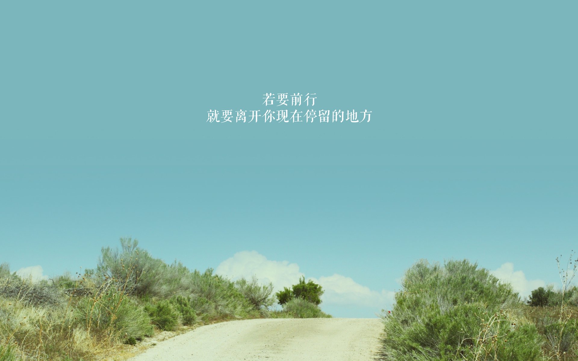 极速攻防，从赛道到球场的胜负辩证法