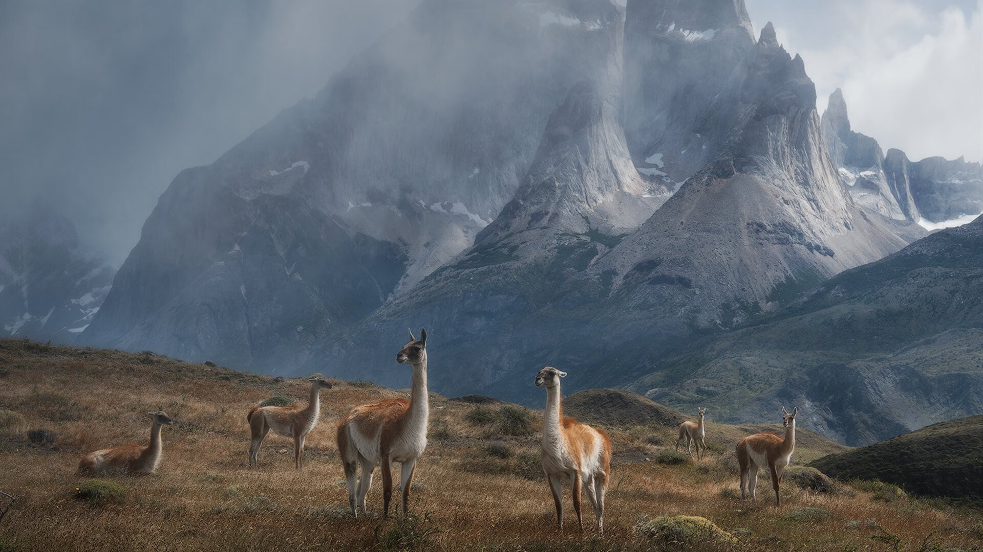 西甲国家德比之夜，欧文封神一役，冠军级表现撕碎银河战舰