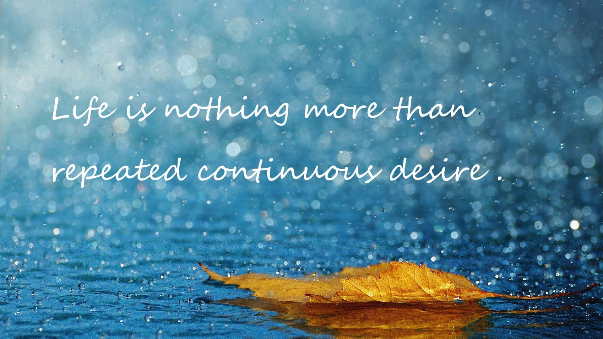 从孤胆刺客到冷血统帅，欧文解牛式逆转背后的领袖哲学