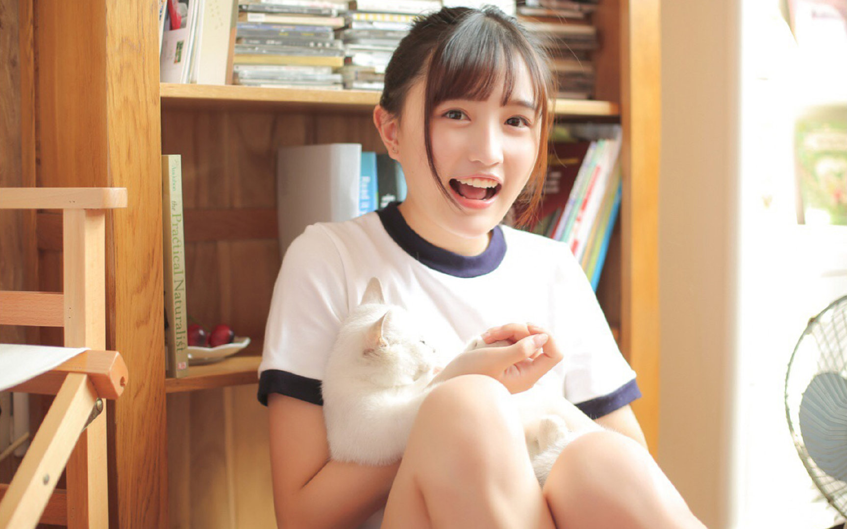 临危受命的左路走廊，特奥一锤定音，奥地利在意志之战中力克哥斯达黎加