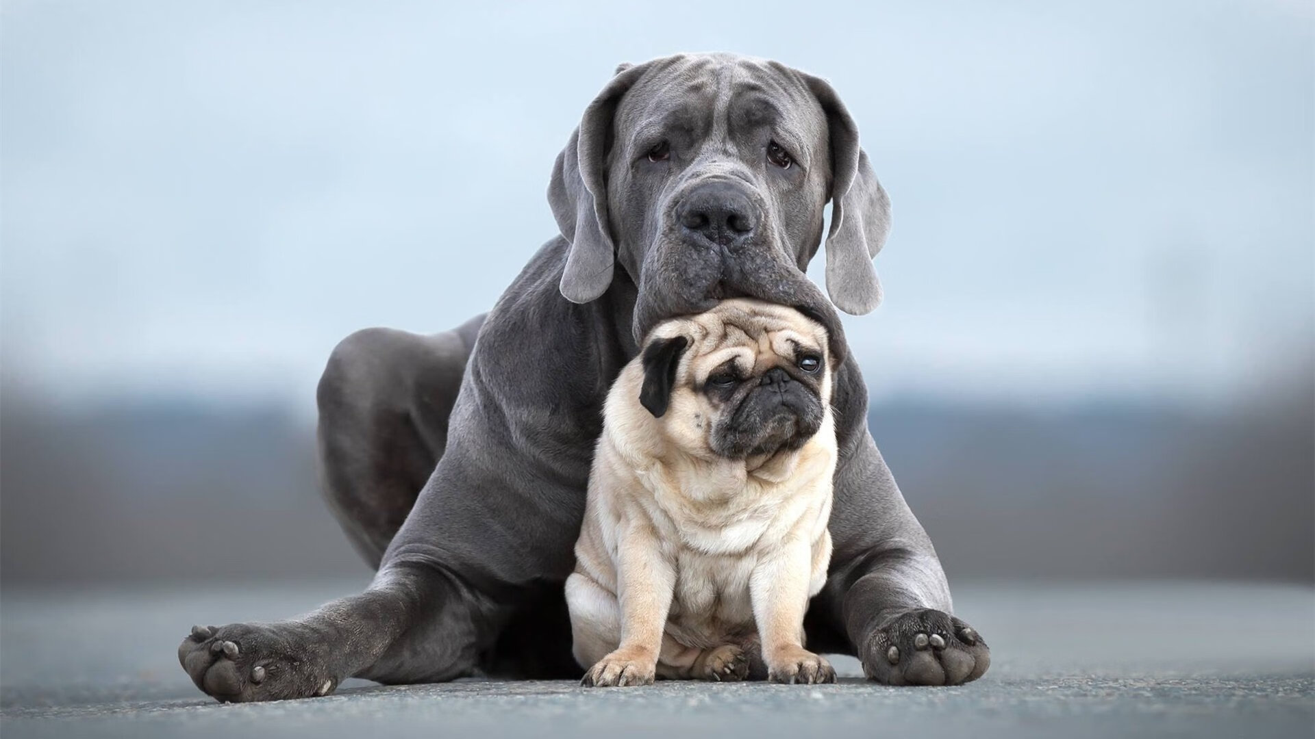 双线交汇的地平线，从美加墨世界杯版图到明尼苏达冰原—新旧时代的激烈相撞