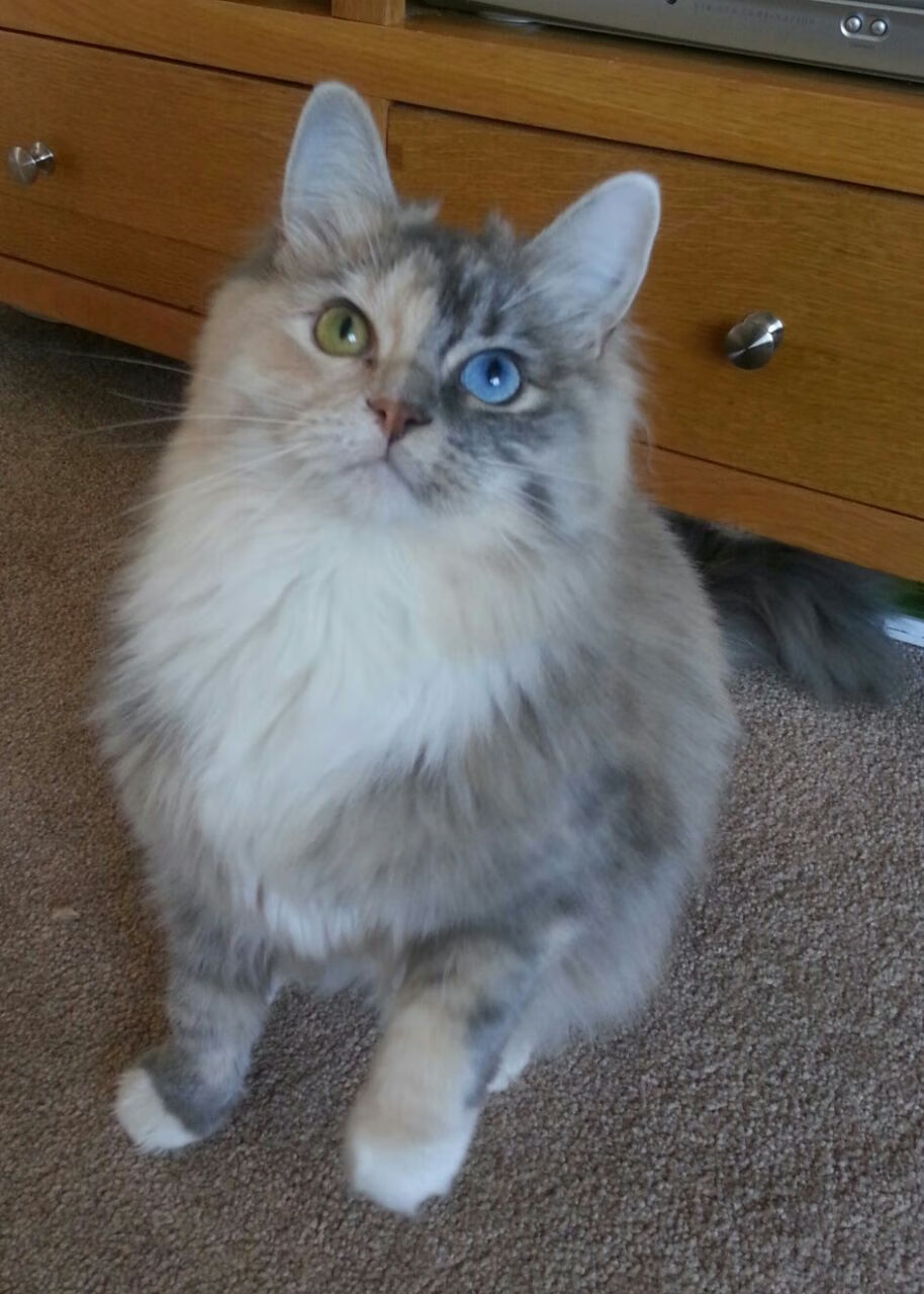 后卫的愤怒,金玟哉如何在国家德比之夜成为巴萨的进攻噩梦