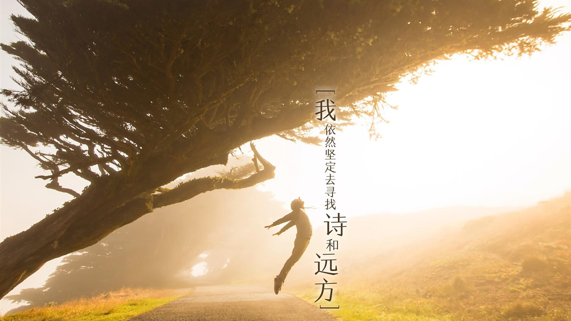 冰封北岸花园!开拓者铁网阵绞杀双探花,浓眉嗜血40+20打碎争冠滤镜