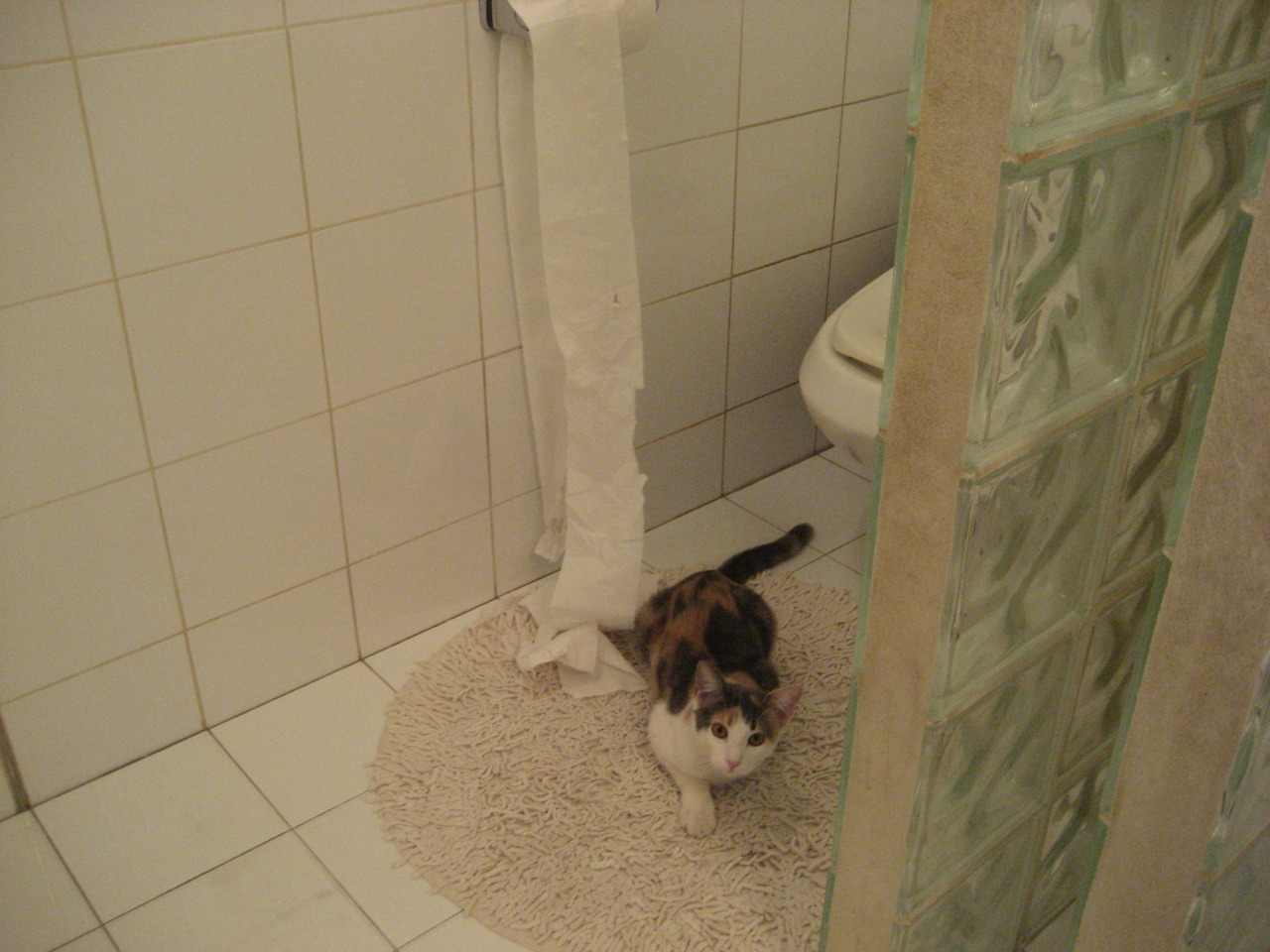 内外双核轰塌防线!快船主场终结深圳队,武切维奇制霸禁区献压制级发挥