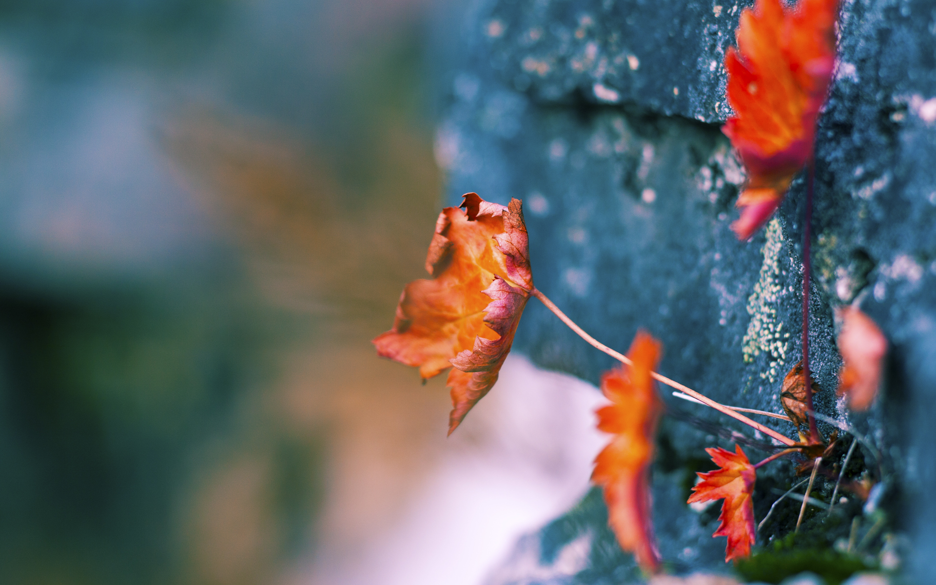 穿越荆棘的鹰隼，西决生死战之夜，克瓦拉茨赫利亚如何撕裂寂静