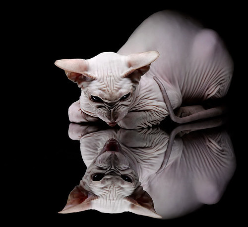 太阳生死战轻取热火，范弗利特三分雨提前终结悬念