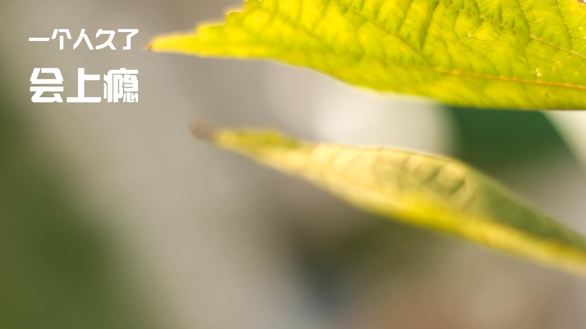 一秒钟的英雄，富安健洋欧冠半决赛之夜定乾坤