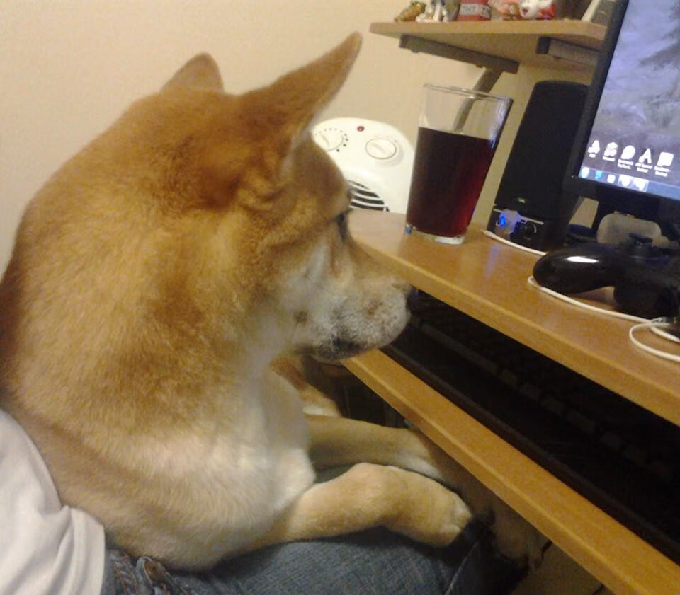 双星辉映，恩佐生涯之夜与乌克兰斩落挪威—那一夜，唯一性的体育史诗如何书写