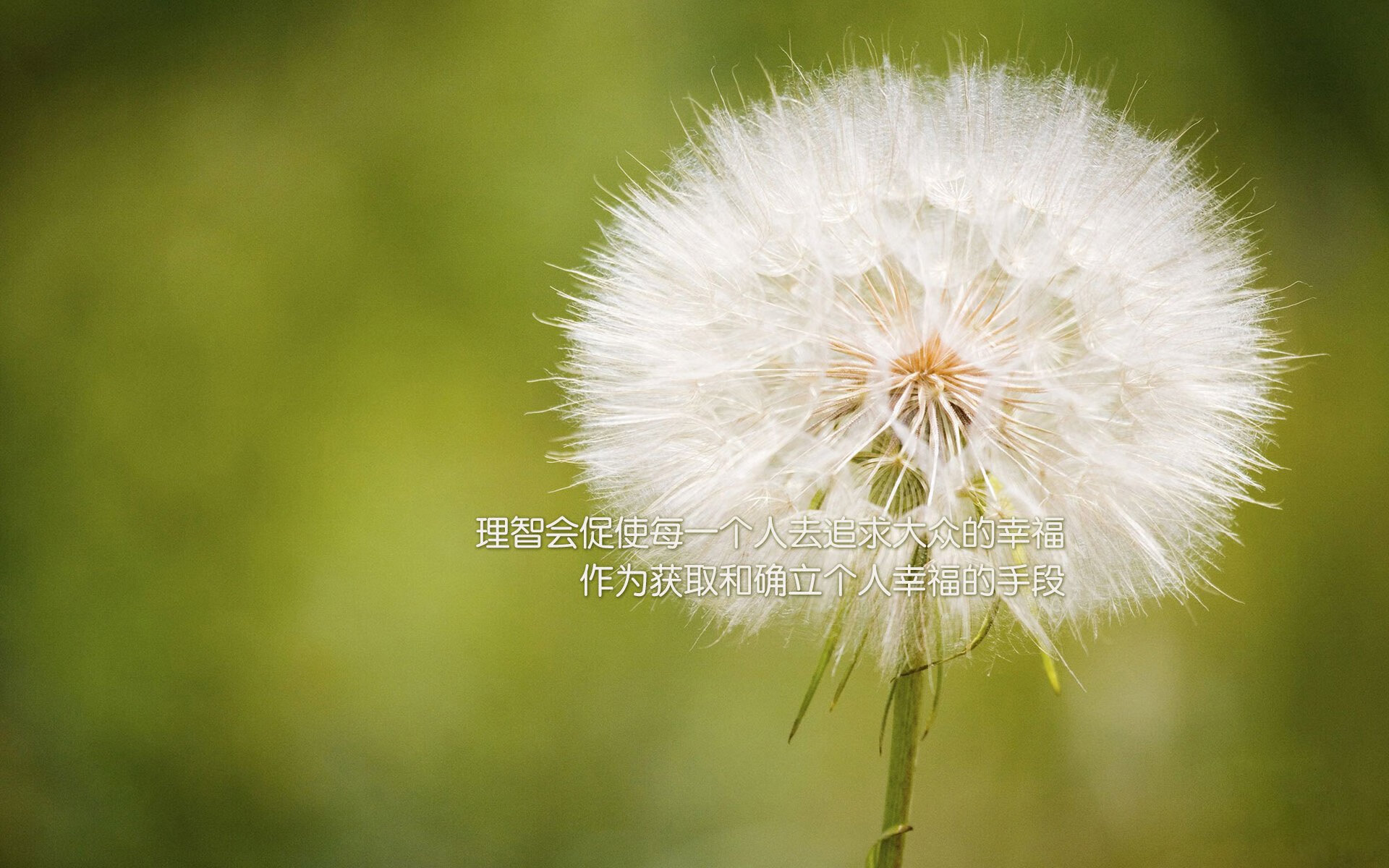 孤胆英雄的独舞，当马克西一人击碎新疆铁桶阵，广东王朝的另类登基